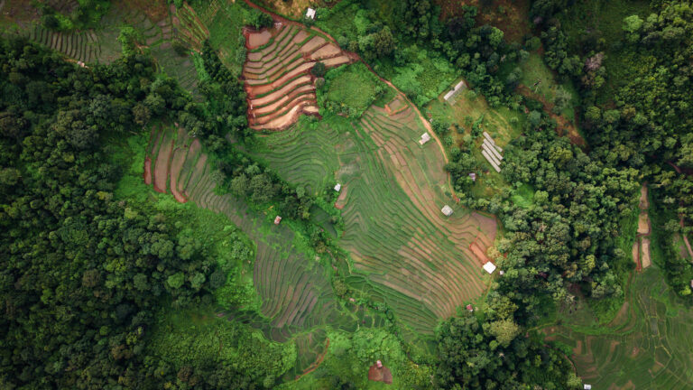 Indonesia’s Environmental Crossroads: Local Challenges, Global Stakes
